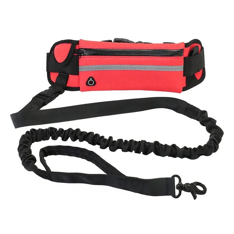 Hands Free Dog Reflective Leash for Running Walking