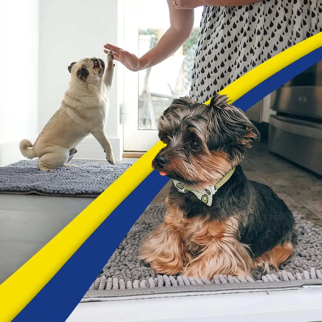 Super Absorbent Microfiber Dog Door Mat for Muddy Paws,Non-Slip Washable Pet Rug, Quick Dry Chenille Entryway Carpet, Grey 24x35