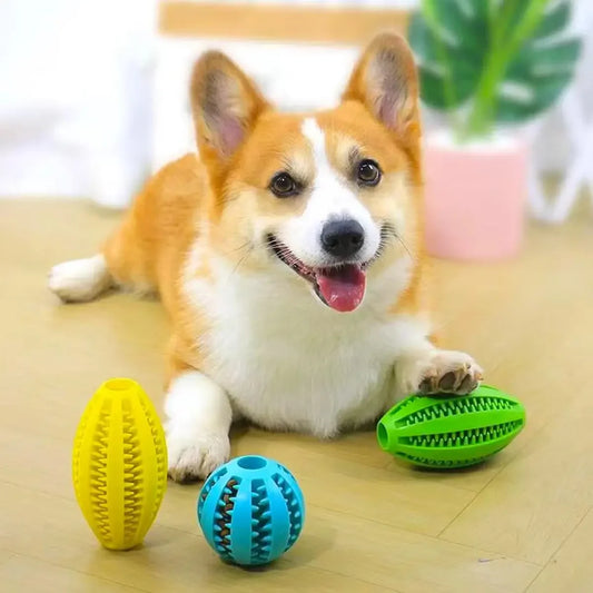 Pet Dog Chew Toys Teeth Cleaning Snack Ball
