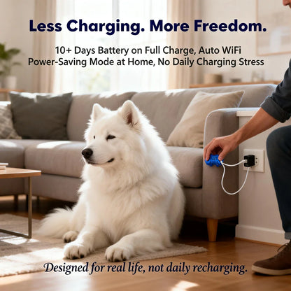 GPS Pet Tracker for Dogs Cats Real Time Tracking Unlimited Distance QR Code Anti-Lost Locator with 1-year Service