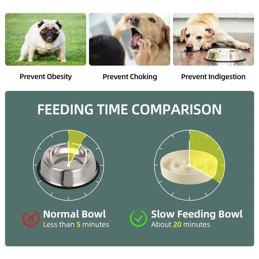 1.2 Cup Raised Slow Feeder Dog Bowl Set, Elevated 6.1inch Bowl and 7.3inch