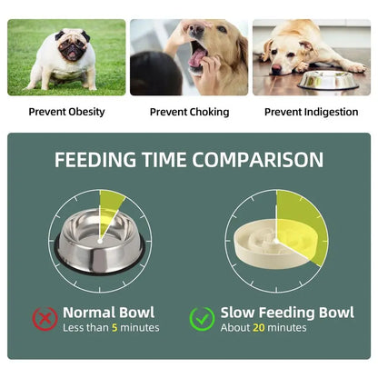 1.2 Cup Raised Slow Feeder Dog Bowl Set, Elevated 6.1inch Bowl and 7.3inch