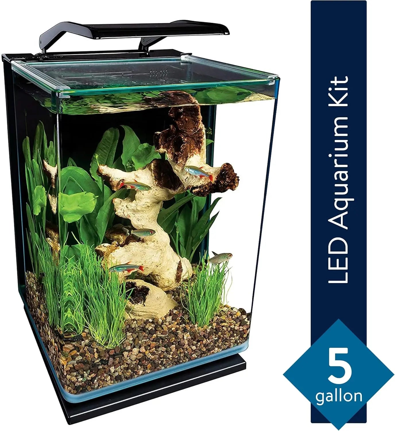 5-Gallon Glass LED Aquarium Kit with Hidden Filtration, Dual Lighting