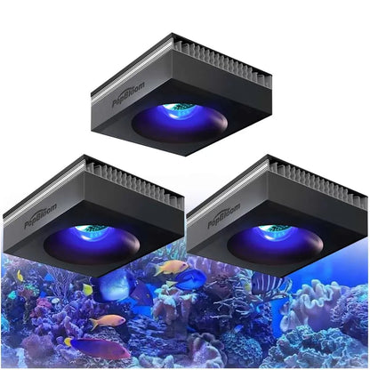 PopBloom RL90 WiFi  Professional Marine Aquarium LED Full Spectrum for Reef Coral SPS/LPS Fish Tank LED