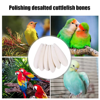 Cuttlefish Bone Parrot Chew Toys