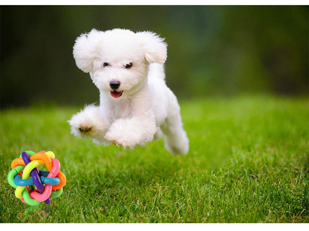 Rubber Pet Chewing Playing Fetching Nice Ball Products