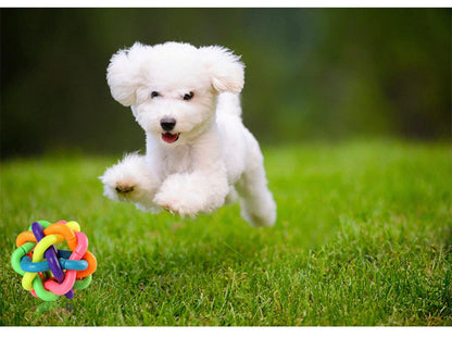 Rubber Pet Chewing Playing Fetching Nice Ball Products