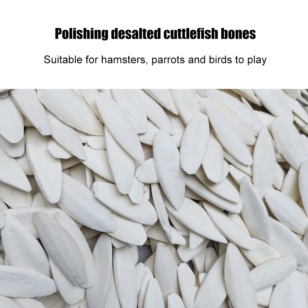Cuttlefish Bone Parrot Chew Toys