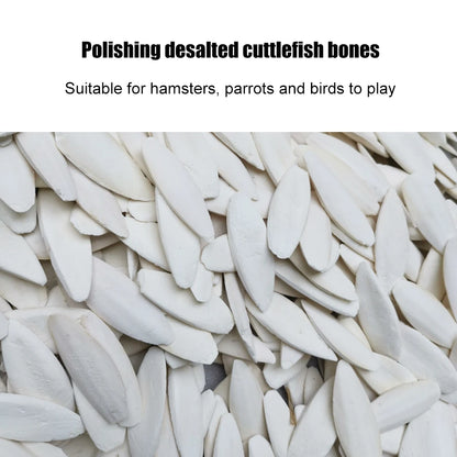 Cuttlefish Bone Parrot Chew Toys