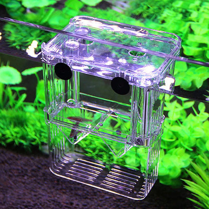 Fish Breeding Isolation Box Double Guppies Hatching Incubator