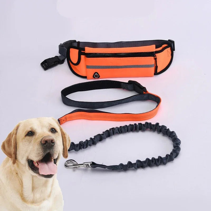 Hands Free Dog Reflective Leash for Running Walking