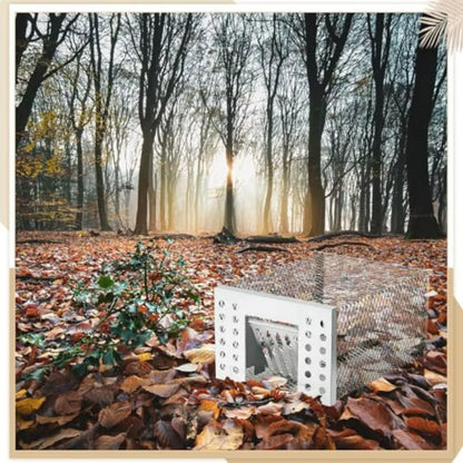 1 Pcs Humane Rat Trap Live Chipmunk Cage Trap for Indoor and Outdoor