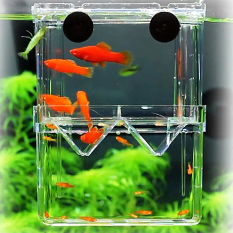Fish Breeding Isolation Box Double Guppies Hatching Incubator