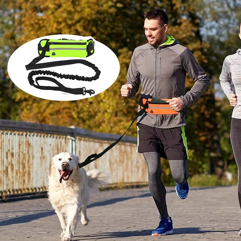 Hands Free Dog Reflective Leash for Running Walking
