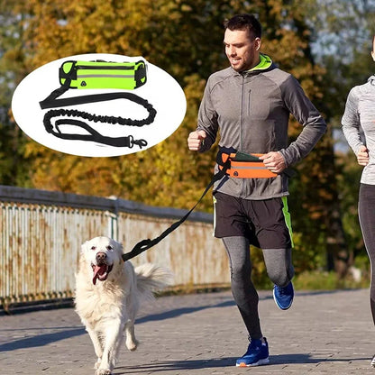 Hands Free Dog Reflective Leash for Running Walking