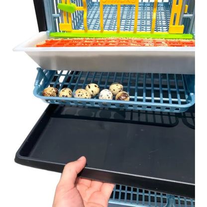 5-Tier Indoor Quail Cage, Stackable, Easy Clean, Rust-Free, Washable Plastic, Removable Dividers, Roll-Out Egg Trays