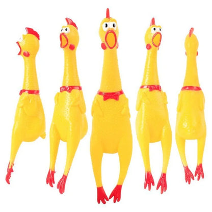 Squeaky Screaming Chicken
