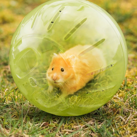Plastic Fitness Running Ball for Rodents