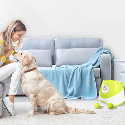 Automatic Pet Dogs Chase