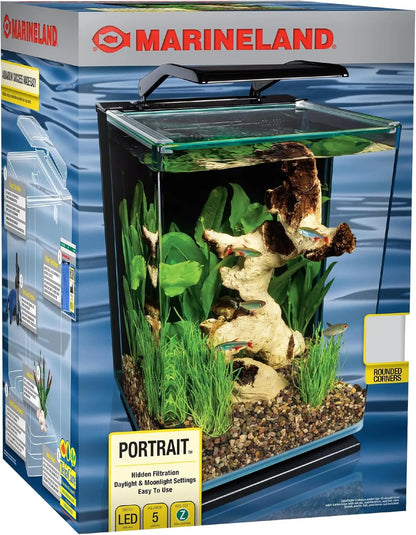 5-Gallon Glass LED Aquarium Kit with Hidden Filtration, Dual Lighting