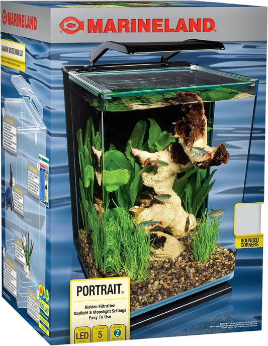 5-Gallon Glass LED Aquarium Kit with Hidden Filtration, Dual Lighting