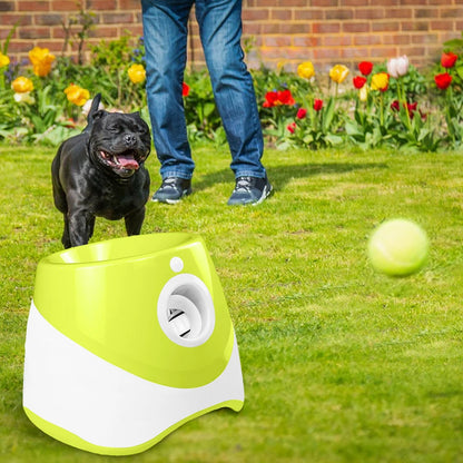 Automatic Pet Dogs Chase