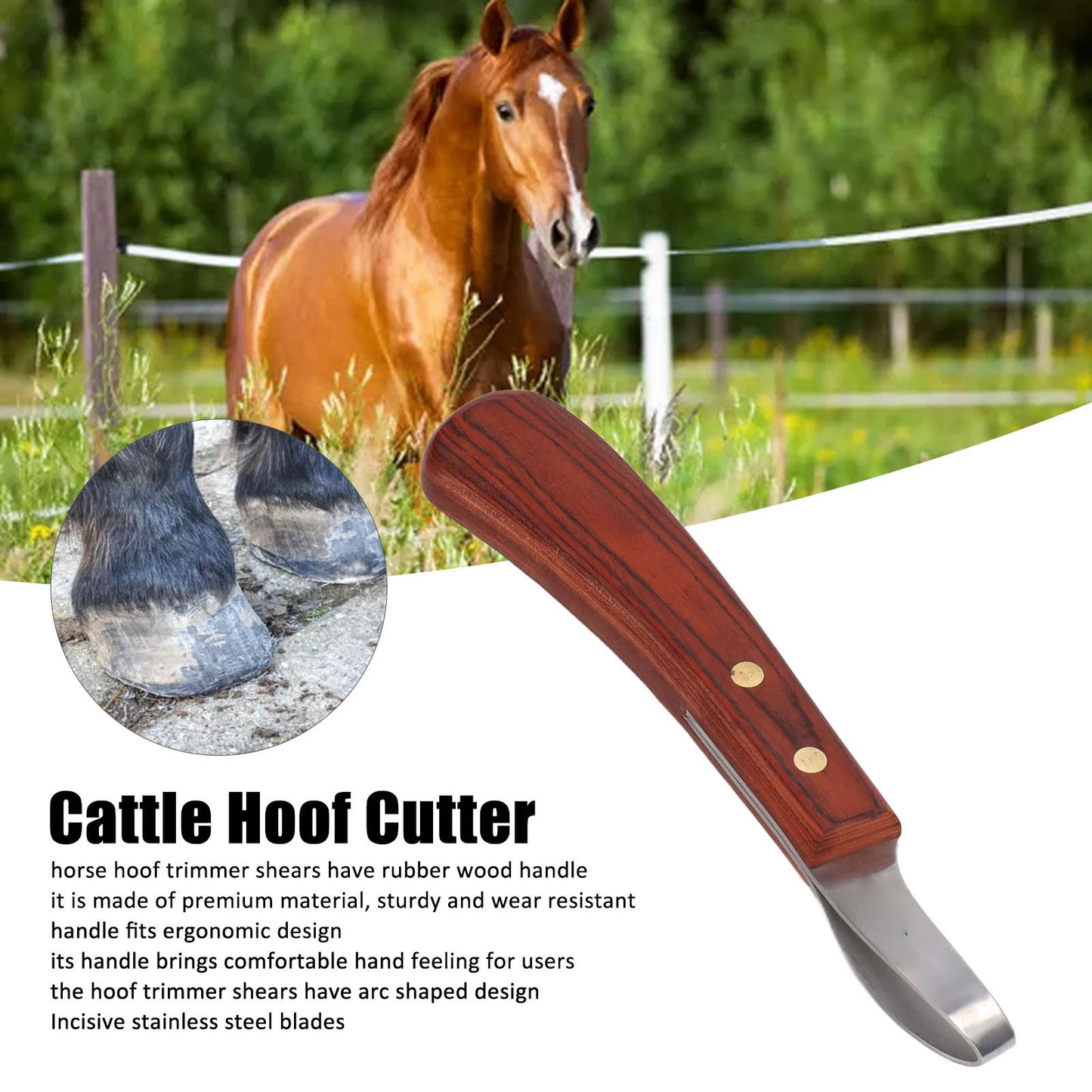 Stainless Steel Blade Wood Handle Multipurpose Cattle Horse Hoof Cutter