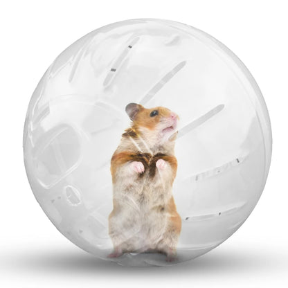 Plastic Fitness Running Ball for Rodents