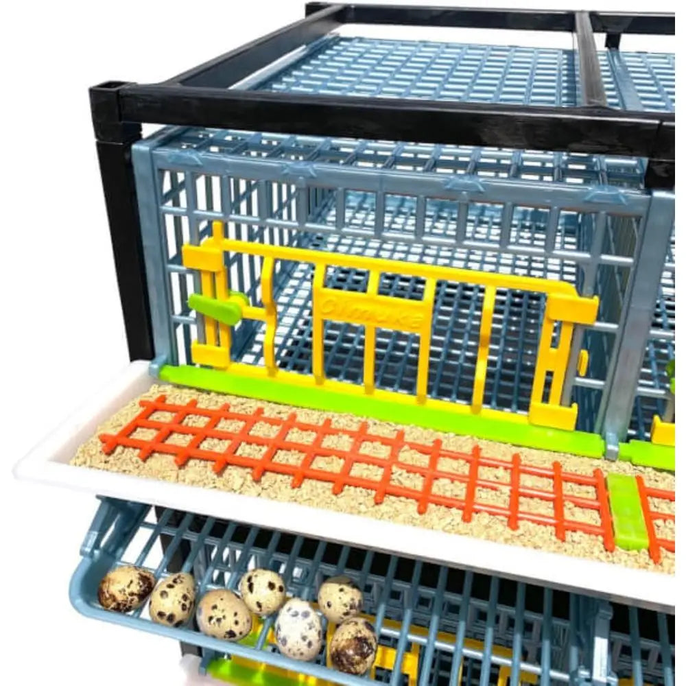 5-Tier Indoor Quail Cage, Stackable, Easy Clean, Rust-Free, Washable Plastic, Removable Dividers, Roll-Out Egg Trays