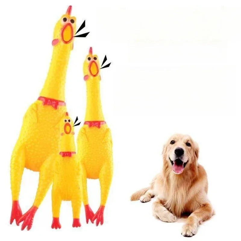 Squeaky Screaming Chicken