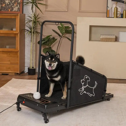 Dog Treadmill for Medium Pets