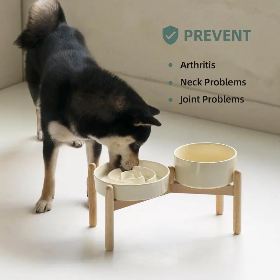 1.2 Cup Raised Slow Feeder Dog Bowl Set, Elevated 6.1inch Bowl and 7.3inch
