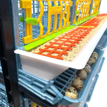 5-Tier Indoor Quail Cage, Stackable, Easy Clean, Rust-Free, Washable Plastic, Removable Dividers, Roll-Out Egg Trays