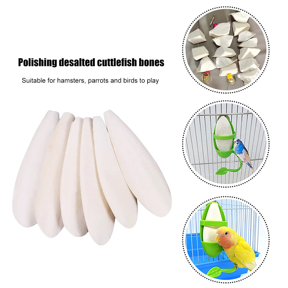 Cuttlefish Bone Parrot Chew Toys