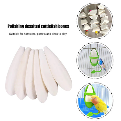 Cuttlefish Bone Parrot Chew Toys