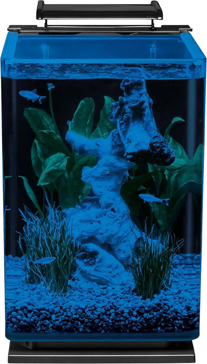 5-Gallon Glass LED Aquarium Kit with Hidden Filtration, Dual Lighting
