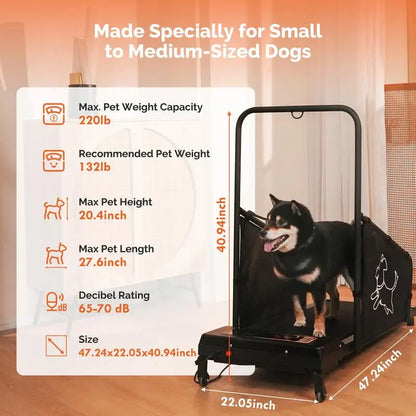Dog Treadmill for Medium Pets