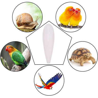 Cuttlefish Bone Parrot Chew Toys