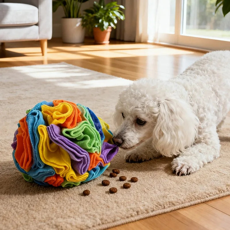 Interactive Dog Toys Nose Work Treat Game for Pet Dog