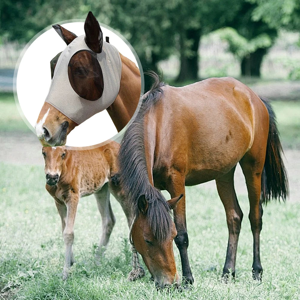 Mosquito Mask Ear Protection