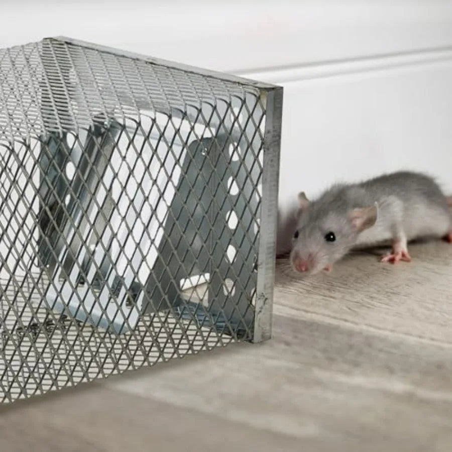 1 Pcs Humane Rat Trap Live Chipmunk Cage Trap for Indoor and Outdoor